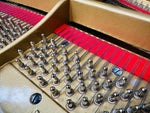 Kawai Baby Grand Piano (Reconditioned) | Thompson Pianos