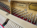 Petrof Upright Piano - Polished Walnut (Pre-Owned) | Thompson Pianos