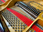 Samick Baby Grand (Polished Mahogany) | Thompson Pianos
