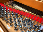 Yamaha C1X Grand Piano (Pre-Owned) | Thompson Pianos