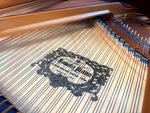 Yamaha C1X Grand Piano (Pre-Owned) | Thompson Pianos