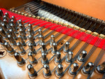 Yamaha C3 Grand Piano - Reconditioned - Made in Japan (1997/1998) | Thompson Pianos