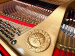 Yamaha G5 Grand Piano - Reconditioned - Made in Japan (1981/1982) | Thompson Pianos