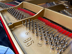 Yamaha G5 Grand Piano (Reconditioned) | Thompson Pianos