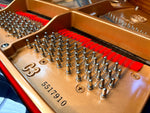 Yamaha C3 Grand Piano - Reconditioned - Made in Japan (1997/1998) | Thompson Pianos