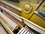 Yamaha U1 Upright Piano, Polished White (Certified Reconditioned Piano) | Thompson Pianos