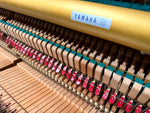 Yamaha U1H Upright Piano - Polished Ebony (Factory Reconditioned) | Thompson Pianos