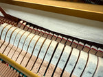 Yamaha U1H Upright Piano - Polished Ebony (Factory Reconditioned) | Thompson Pianos