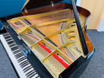 Boston GP-178 (Designed by Steinway & Sons) Grand Piano | Thompson Pianos