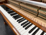 Wilh Steinberg IQ (International Quality) Upright Piano | Thompson Pianos